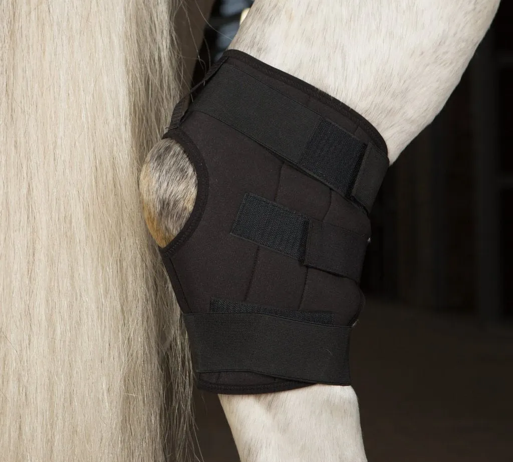 Incrediwear Equine Circulation Hock Boot