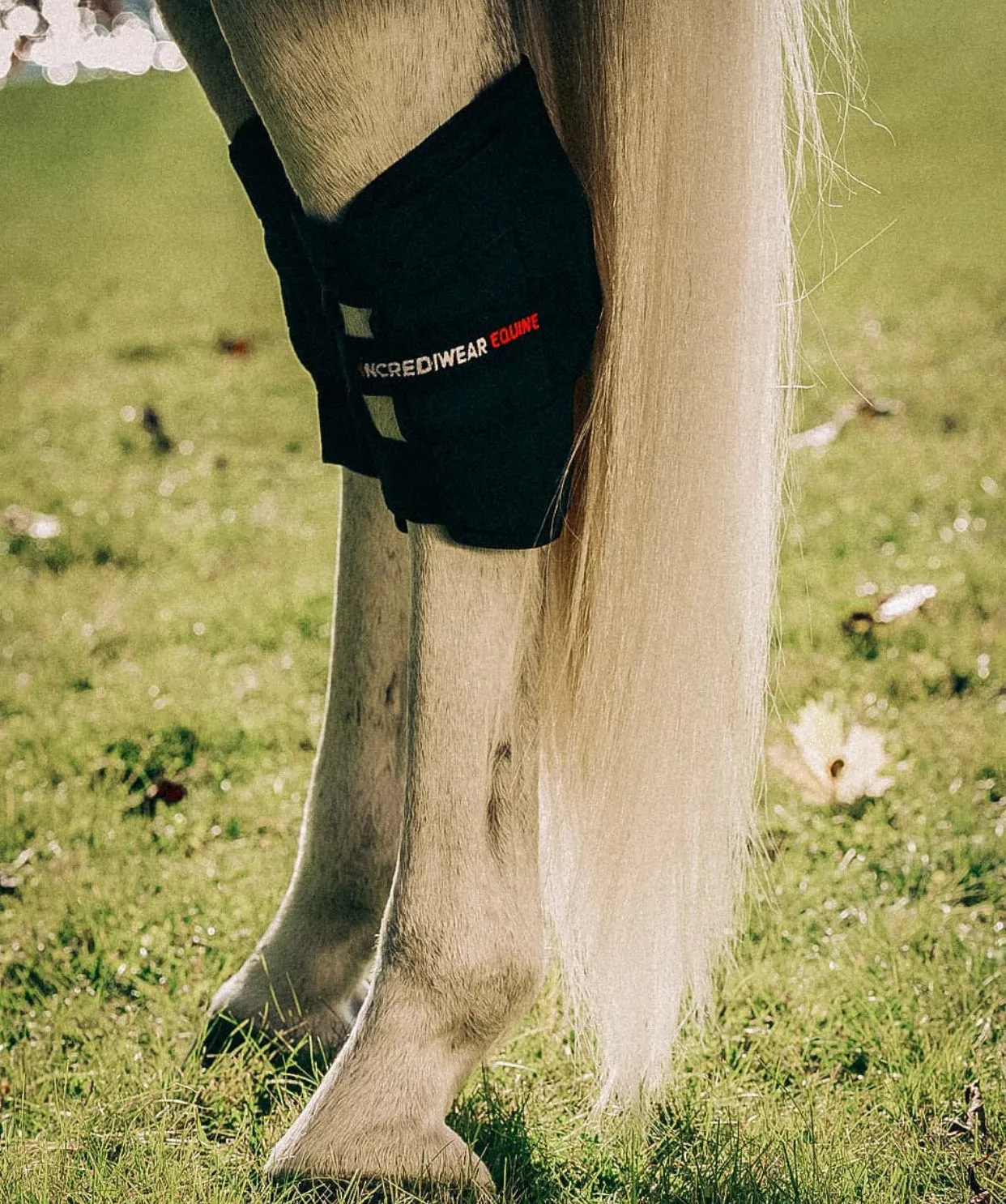 Incrediwear Equine Circulation Hock Boot