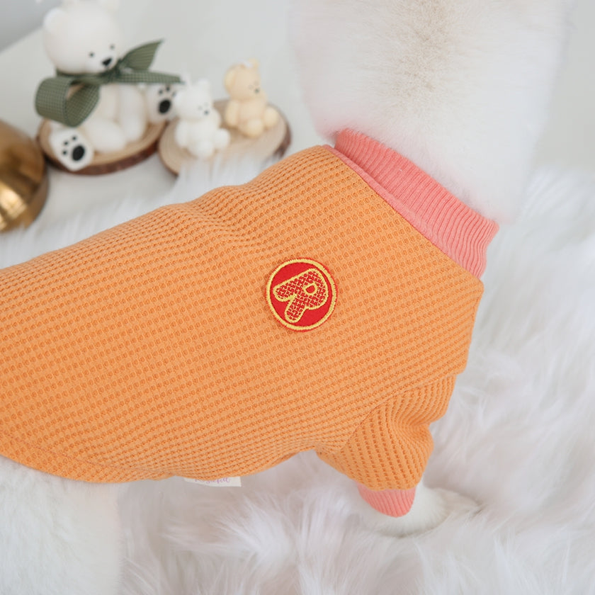 R logo Dogs Clothes Waffle patterned Casual Cute Comfortable Clothing Korean Designers Apparel Outfits Bright Colours Pets